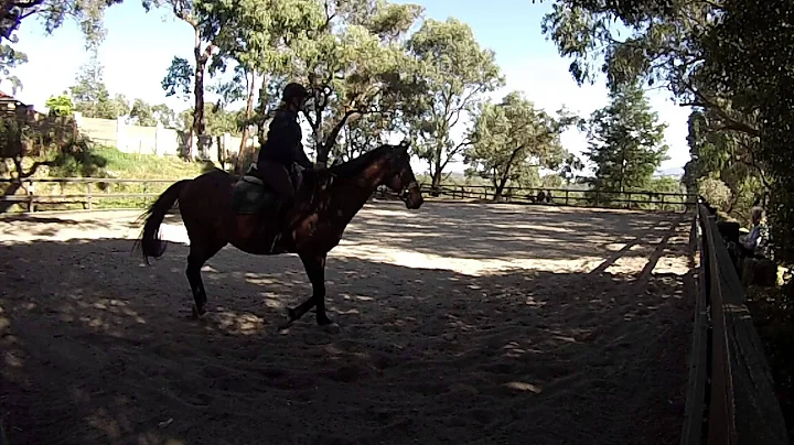 Marianne Webb 5E 13 Dec 2015