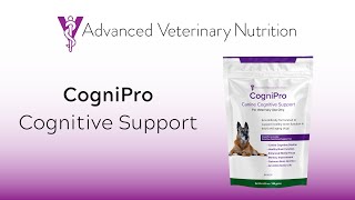 CogniPro | Canine Cognitive Support