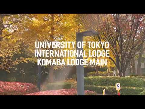 University of Tokyo Komaba International Lodge Tour - November 2020