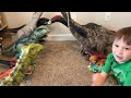JURASSIC WORLD REBIRTH DOMINION CHAOS THEORY FULL COLLECTION 250+ TOYS!