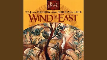 The Eagle's Story