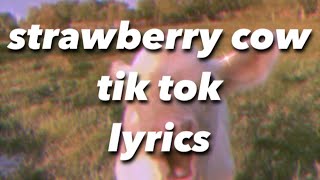 Video thumbnail of "strawberry cow - look at you strawberry cow you make me go wow -  tik tok lyrics"