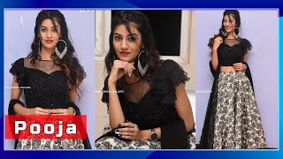 Pooja Solanki Cute Beauty Navel Photoshoot