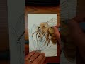 Watercolor Painting a Bee on a Flower #watercolor #art #artist #bee