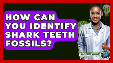 How Can You Identify Shark Teeth Fossils? - Earth Science Answers