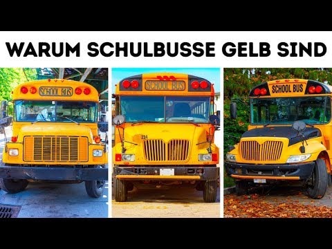Video: Sind Schulbusse gelb-orange?