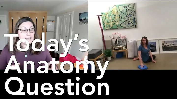Today's Anatomy Question #60: How can I fall in love with this simple twist?