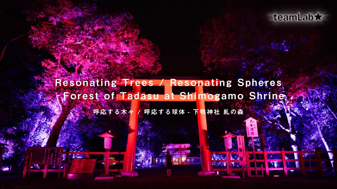 下鴨神社 糺の森の光の祭 Art By Teamlab Youtube