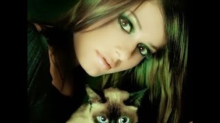 Приколы. Смотреть приколы+про кошек.Кошки очарование мое... Приколы. Смотреть приколы+про кошек.Кошки очарование мое...
