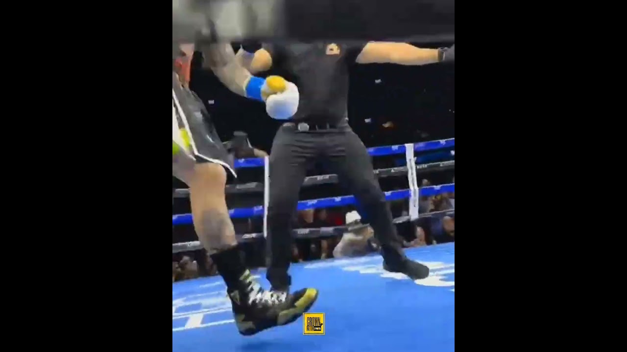 Floyd Mayweather exhibition match against John Gotti III ended with a brawl