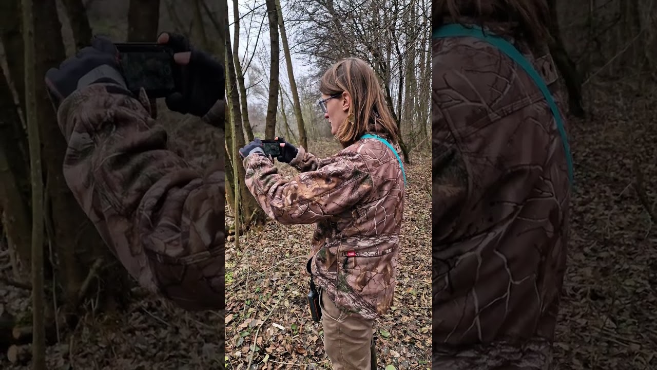 Hódok: a vízfolyások természet-helyreállítói