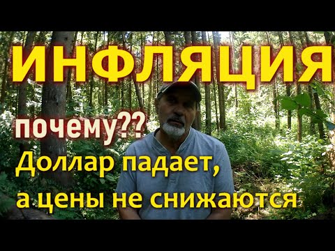 Инфляция? Доллар падает, а цены не падают. Почему?