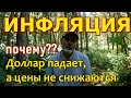 Инфляция? Доллар падает, а цены не падают. Почему?