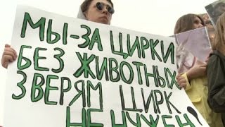 Екатеринбуржцы присоединились к международной акции «Цирк без животных» Екатеринбуржцы присоединились к международной акции «Цирк без животных»