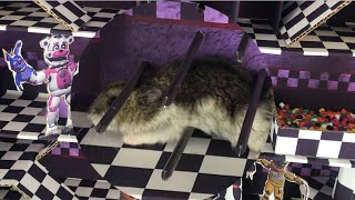 Hamster Fnaf Maze 🐹 Хомячок Лабиринт Фнаф