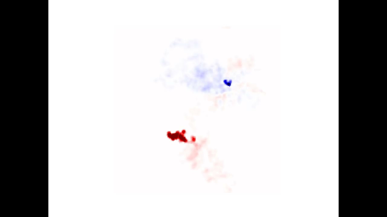 Competition Between Species Simulated by Random Walks (3)