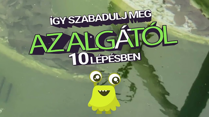 Zöld a medence vize mit tegyek?