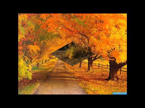 Octombrie (October) - Tudor Gheorghe