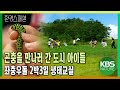 곤충을 만나러 간 도시 아이들. 좌충우돌 2박3일 생태교실 [환경스페셜-흙과 생명, 아이들을 바꾸다] / KBS 20121003 방송