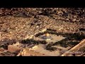 مش عارف اشوف اغنيه  مدينتي بتاعت اصاله غير كدا والله