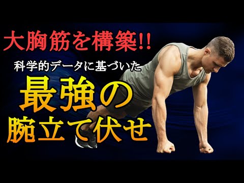 パーカーフィットネス【Science Basedトレーナー】