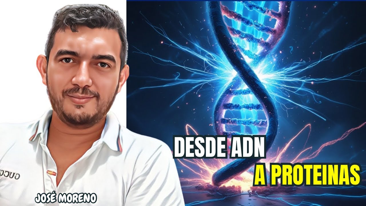 Replicación, Transcripción y Traducción del ADN | Explicación Fácil y Rápida