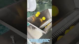 Stainless steel commercial citrus juicer for orange fruit processing