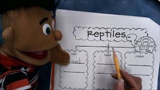 Tree Map   Reptiles