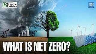 What Is Net Zero? | Dawn News English