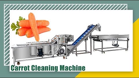 Industrial Carrot Washing Machine With Brush Wahser Carrot Processing From A To Z