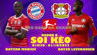 Soi kèo Bayern Munich vs Bayer Leverkusen 01h30 ngày 01/10/2022 - Vòng 8 Bundesliga
