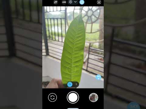 lmc 8.4 camera
