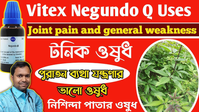 Onlayn porno rus kokraklarini tomosha qiling