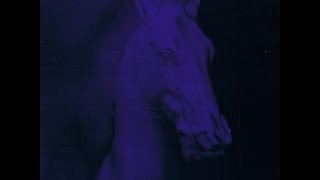 The Phoenix Foundation - All In An Afternoon (Official Audio)