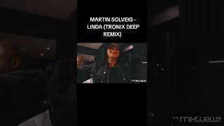 _Terra Verde Reliquary📂MARTIN SOLVEIG LINDA (TRONIX DEEP REMIX) @Fistaz Mixwell #deephousemusic #dj