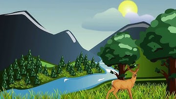 Ecological Restoration Animation