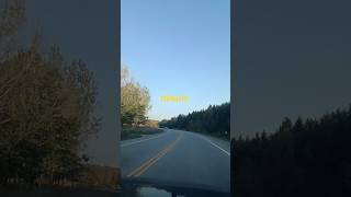 #song #youtube #love #travel #viral #video #lifeisbutadream #youtubeshorts  #nature