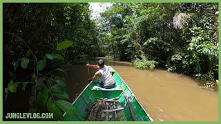 Rare footage of Wayana tribesmen hunting iguanas in the rainforest [4K]