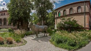 University Of Veterinary Medicine, Budapest - Medlink Students