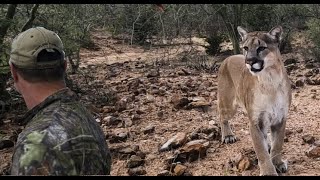 A lion! Too late, he's right beside me! Deadly Slocks!