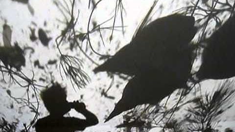 Egied Simons Liquid Files 2010 J