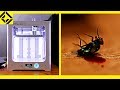 3D Printer Makes Fly Murder Machine