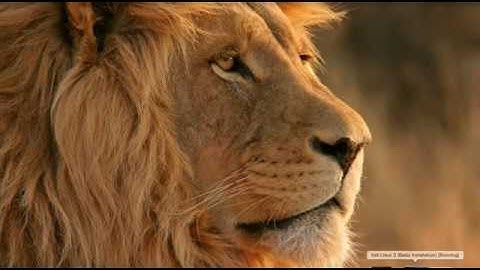 Client Server Programming - Part 1 - Python for Penetration Testers