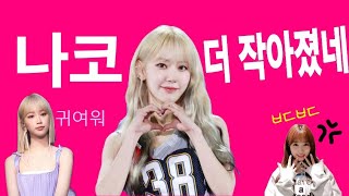르세라핌 팬미팅에서 아이즈원 멤버를 만난 야부키나코 &amp; 미야와키사쿠라 &amp; 김채원 #아이즈원 #…