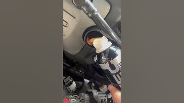 👉🏽COYOTE TICK FIX👈🏽