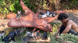 Cats resuce Build cats shelter House of butterfly from mud and playground for cats