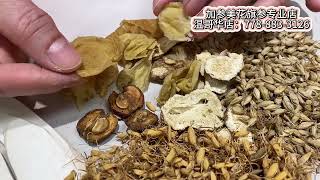 【开胃健脾茶】— Maybel话你知 spleen strengthening tea