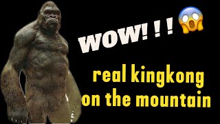 Wow real kingkong???ថតជាប់គីងកុងយក្សលេីភ្នំnew