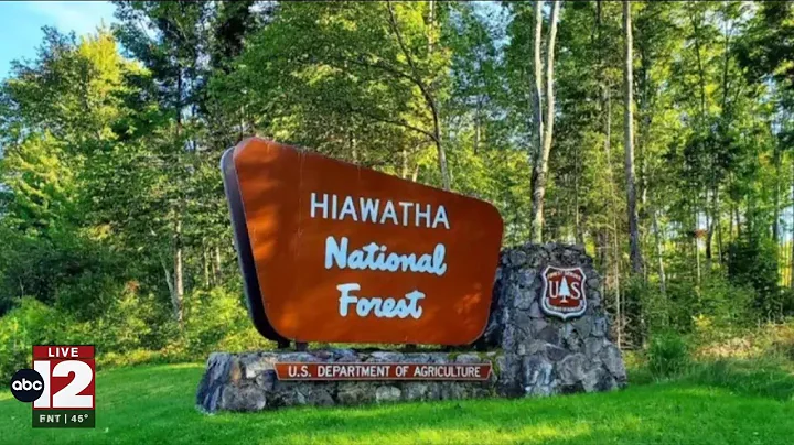 National forests offer $5 Christmas tree cutting permits