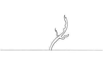 Adv. Animation S-Curve